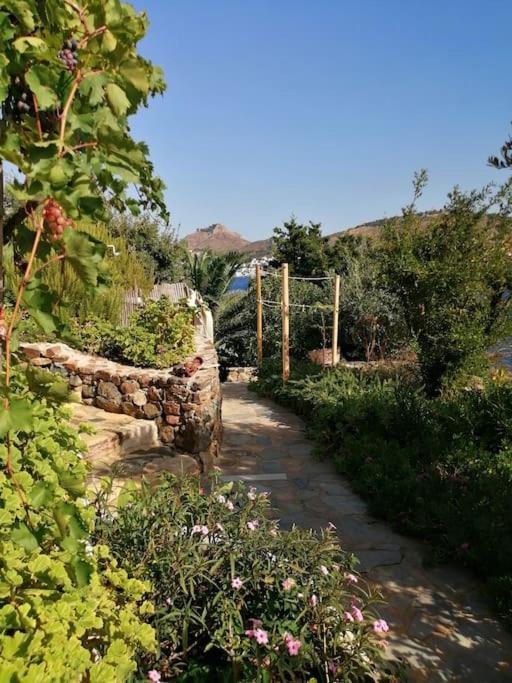 Вілла Casa Dei Melograni At Vourlidia Leros Vromolithos Екстер'єр фото